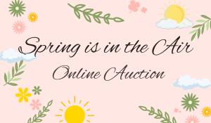Pre online auction